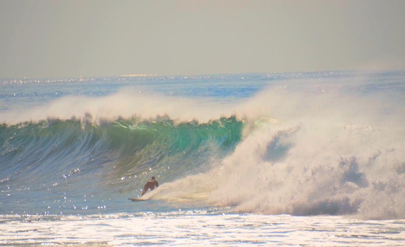 One of many surfers that day catching the waves!